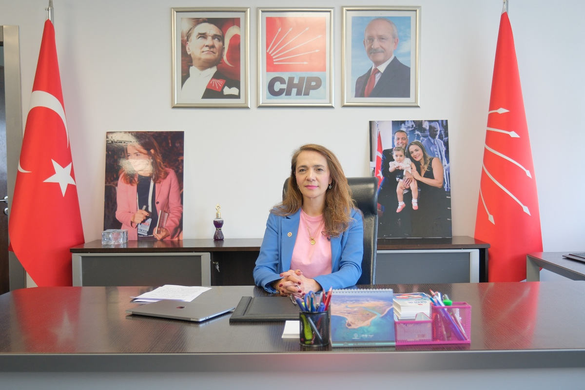 CHP'li İlgezdi, zorunlu uzaktan muayene için Sağlık Bakanı'na soru önergesi verdi