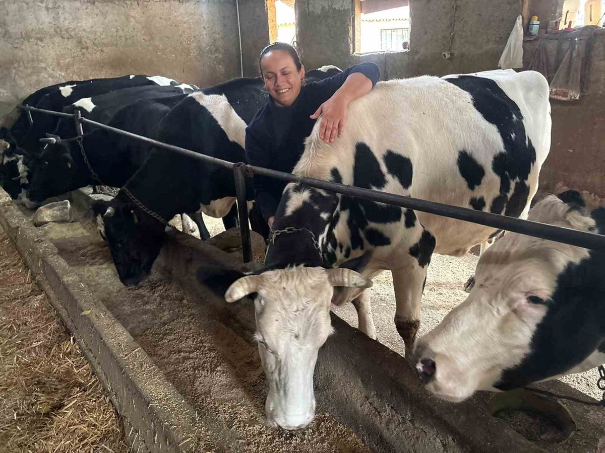 Edirne'de kadın çiftçinin 5 hayvanla başladığı sürüsü 30 başa ulaştı