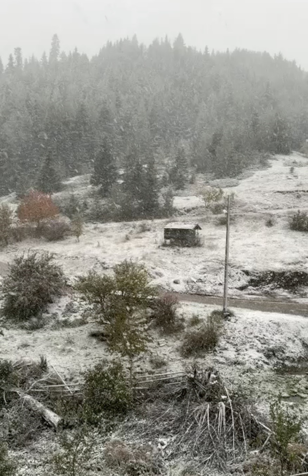 Kastamonu İhsangazi'de yüksek rakımlı köyler kar yağışıyla beyaza büründü