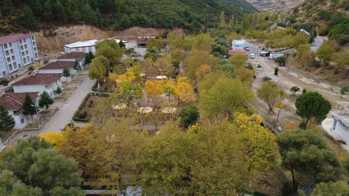 Manisa Demirci'de meşe ve kavak ağaçlarındaki sonbahar renkleri dronla görüntülendi