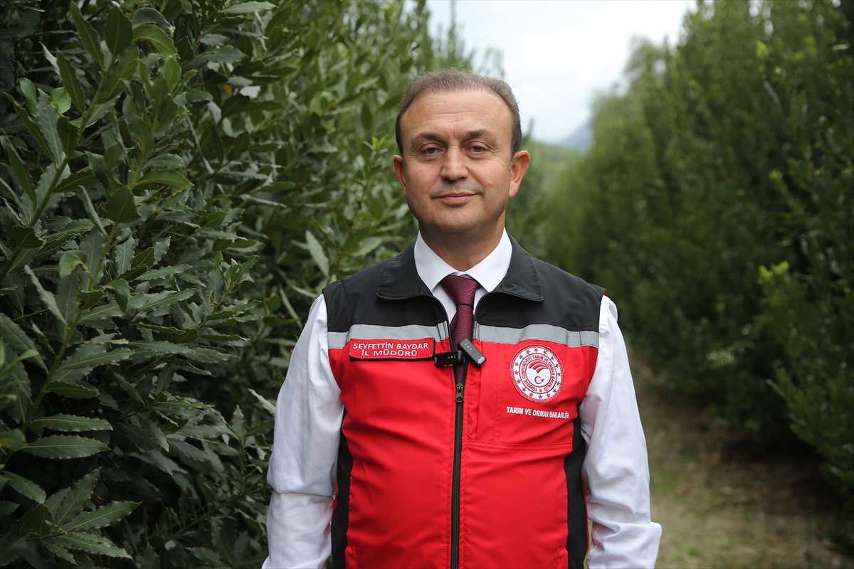 Muğla'nın su ürünleri ihracatı 9 ayda 630 milyon doları aştı