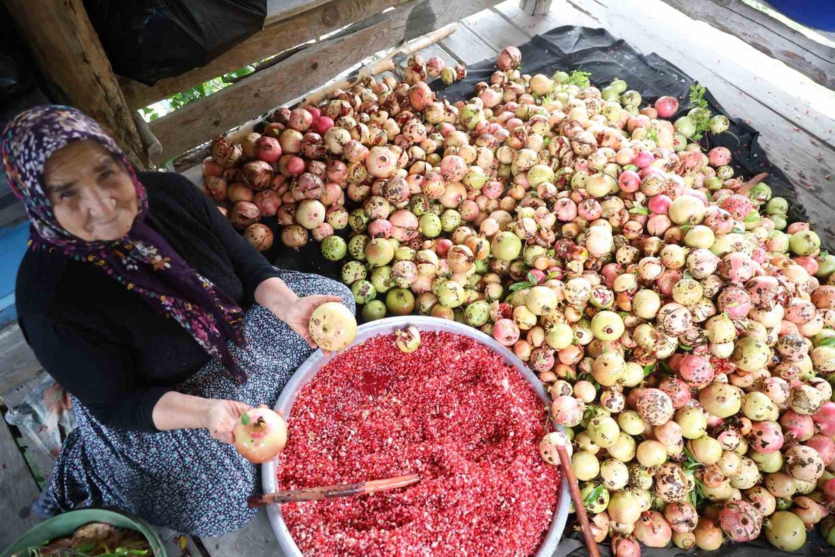 Adana Kozan'da 80 yaşındaki Yeter Yiğenoğlu, 1,5 ton narı nar ekşisine dönüştürüyor