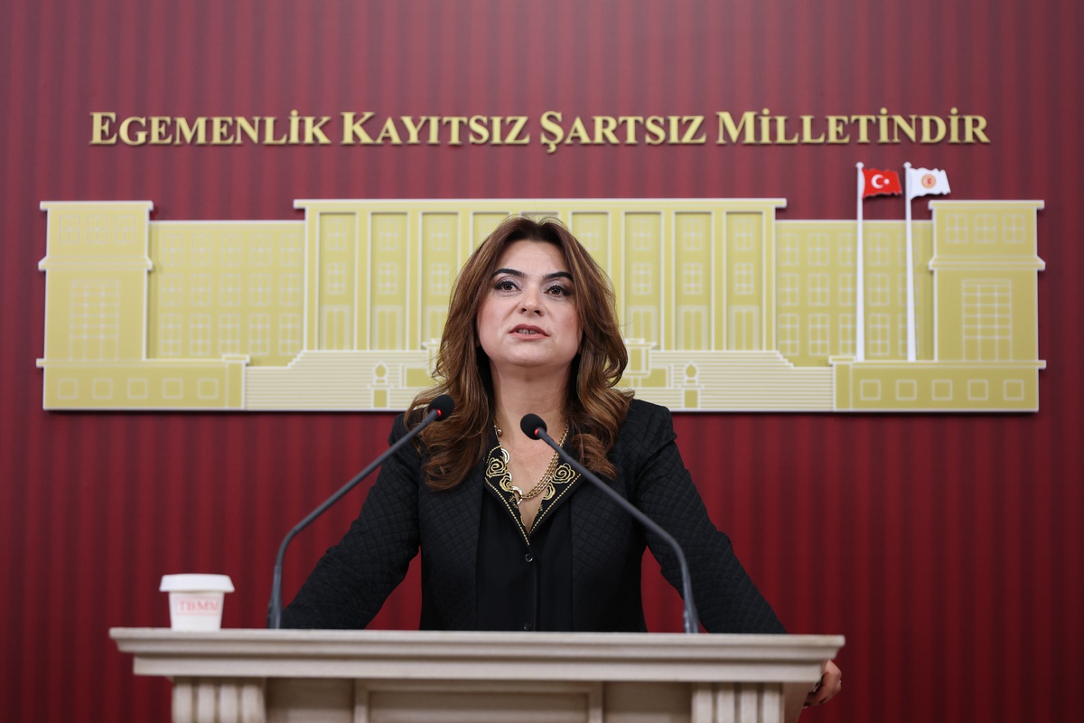 DEM'li Koçyiğit, 2027 bütçesinde her 100 liranın 17 lirasının faize gittiğini söyledi