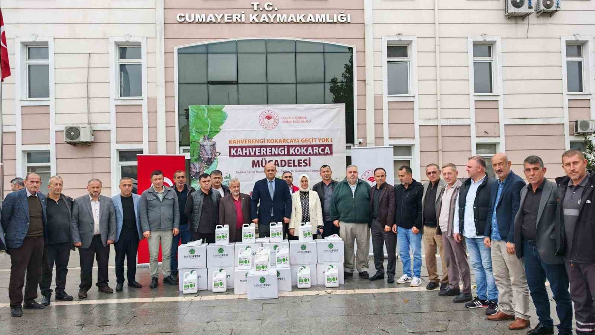 Düzce Cumayeri'de muhtarlara kahverengi kokarca için ilaç dağıtıldı