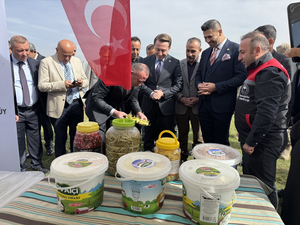 Hakkari Yüksekova'da kadın çiftçilerin ürünleri sergilendi, Kaymakam Hülür gül verdi