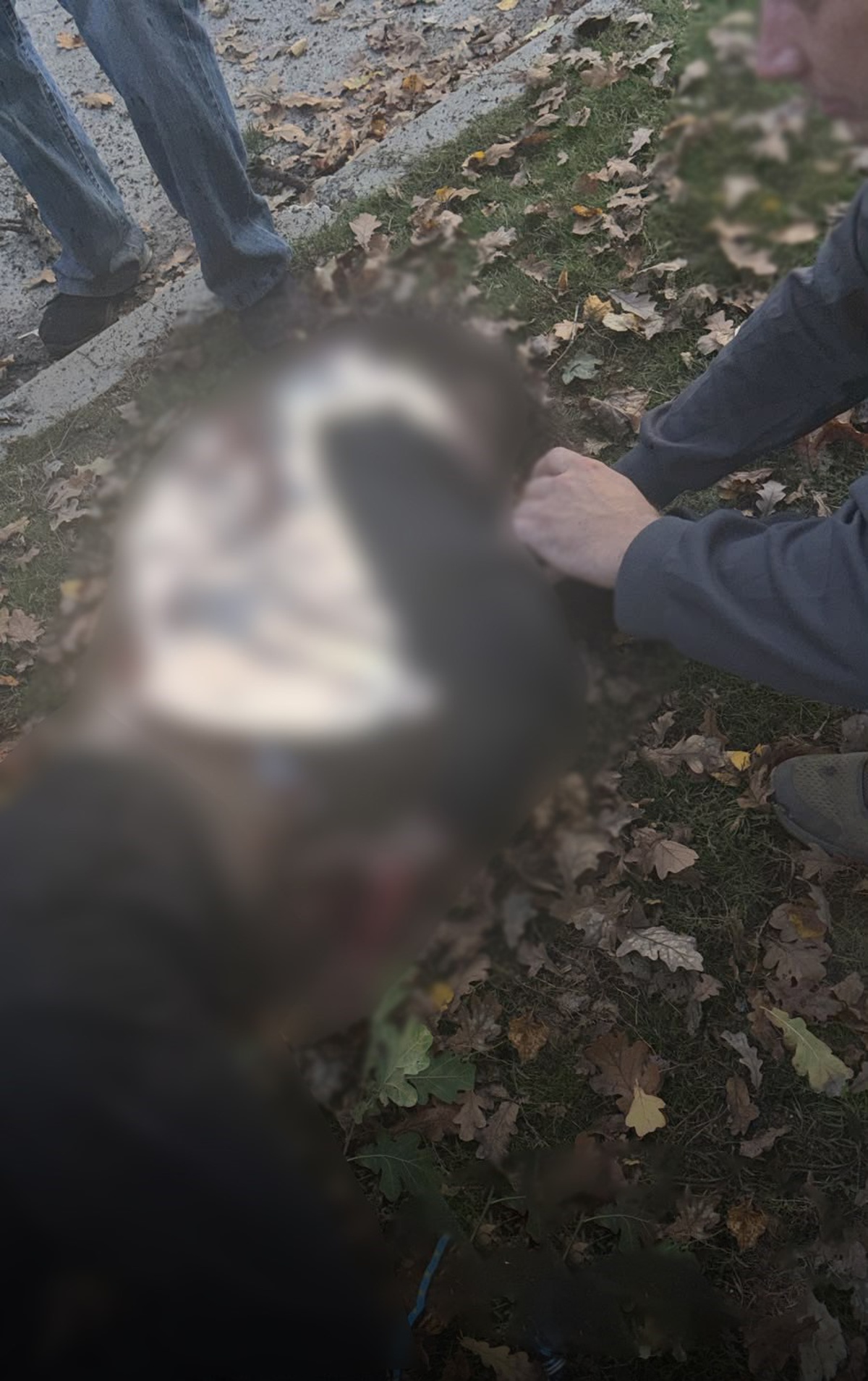 Harkov'da parka düzenlenen İHA saldırısında 3'ü çocuk 6 kişi öldü