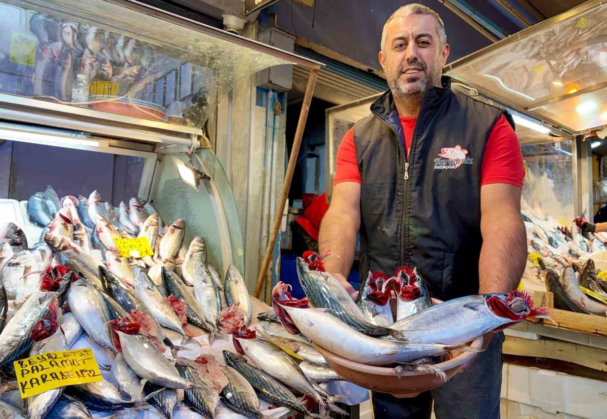 İzmir'de palamut bolluğu tezgahlarda tanesi 100 liradan satılıyor