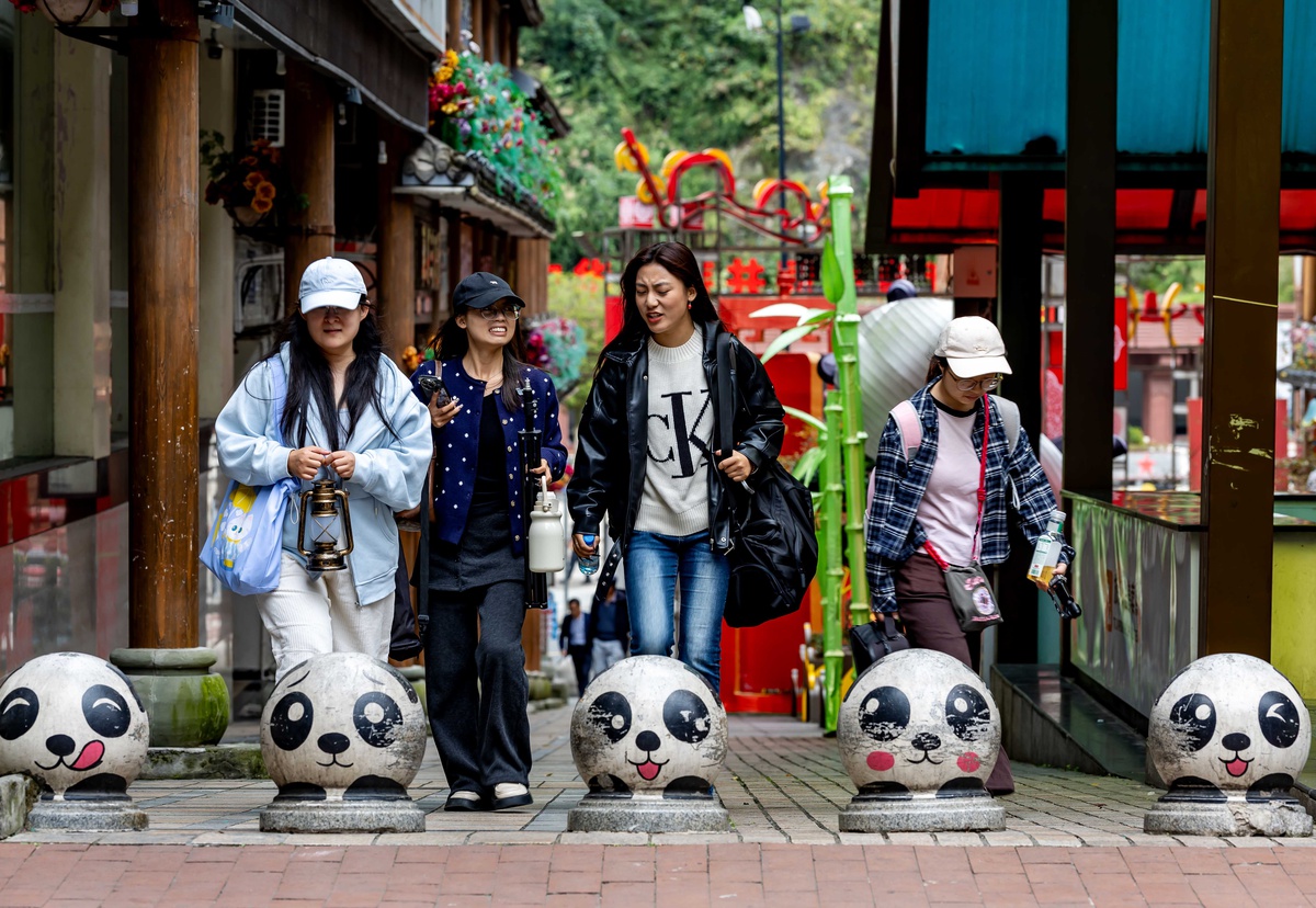 Sichuan'daki Baoxing ilçesi dev panda kaynaklarıyla ekoturizmi hızlandırıyor