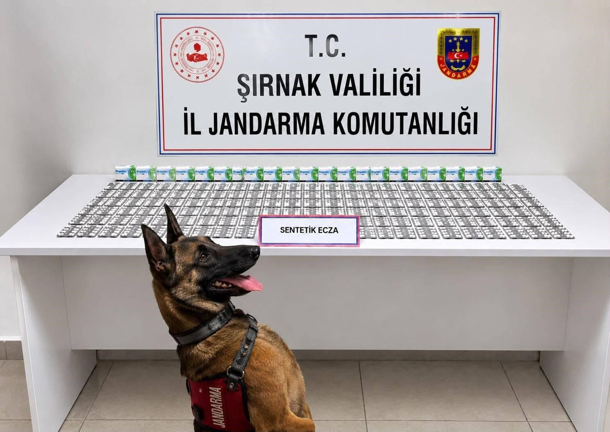 Şırnak'ta jandarma operasyonunda aranan 49 şahıs yakalandı, 12 kişi tutuklandı