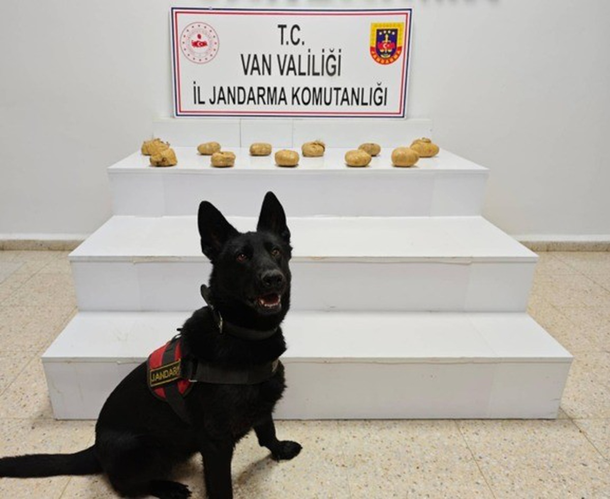 Van Başkale'de Jandarma çuval içindeki 11 kilo 958 gram toz esrarı ele geçirdi