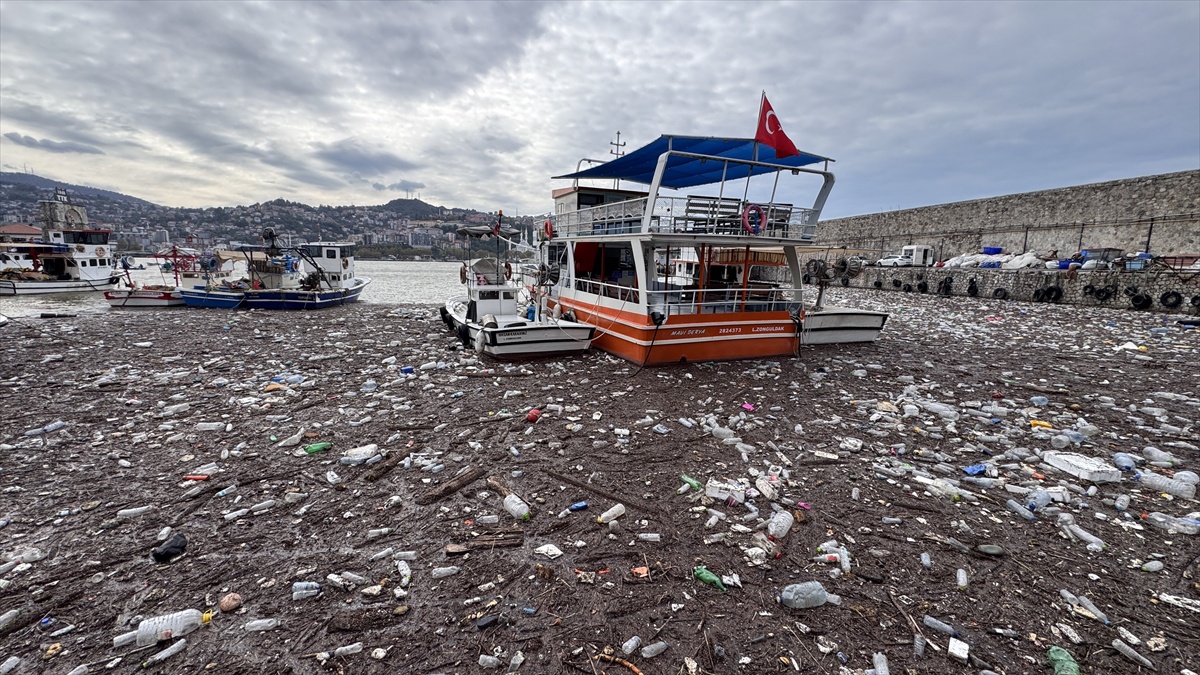 Zonguldak Limanı'nda sağanak sonrası evsel atıklar ve pet şişeler birikti