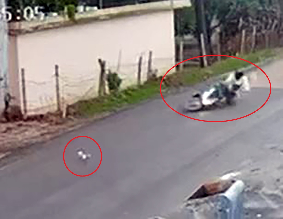 Adana'da kediye çarpmamak için manevra yapan sürücü motosikleti devrilince yaralandı