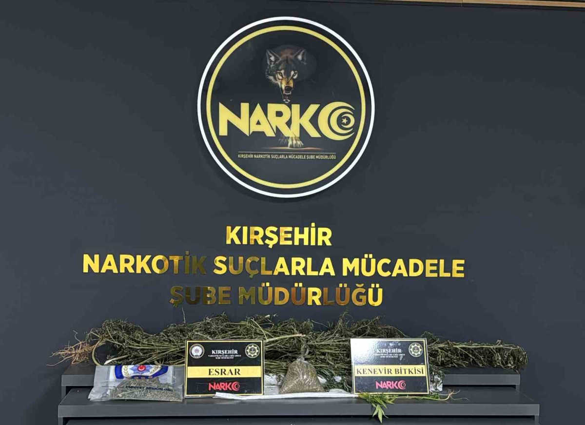 Kırşehir Çiçekdağı'nda uyuşturucu operasyonunda 2 şüpheliden 1'i tutuklandı