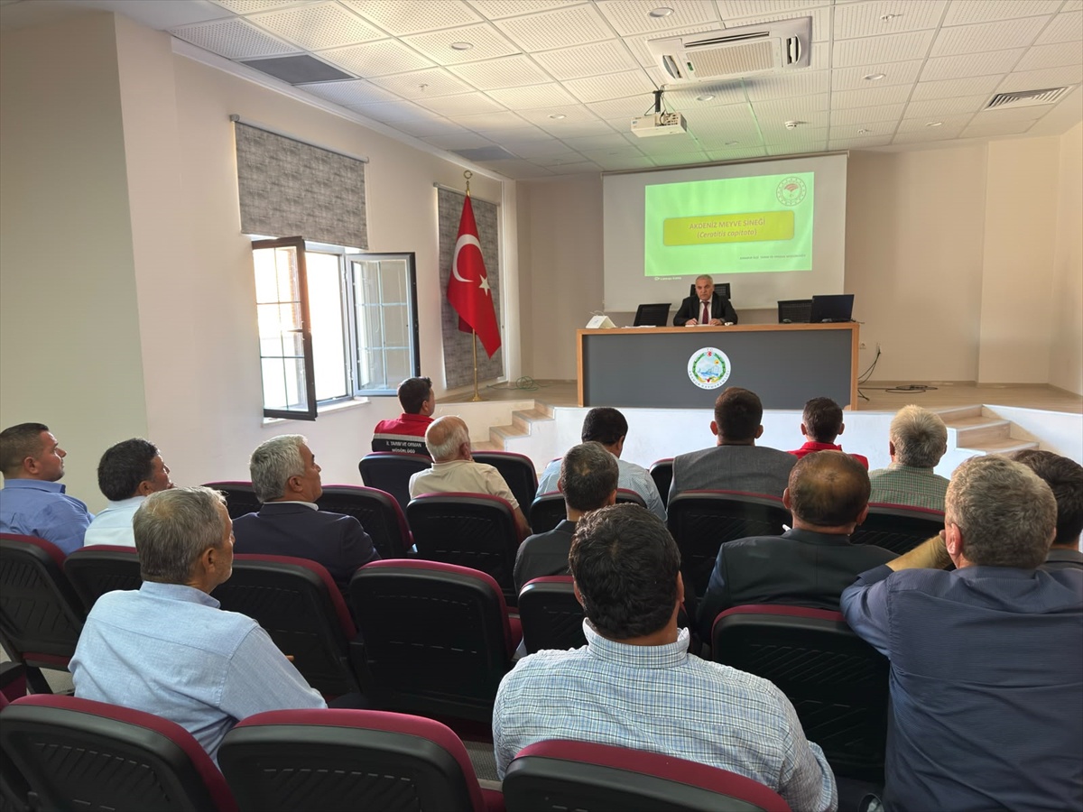 Mersin Anamur'da Akdeniz meyve sineğiyle mücadele için eylem planı toplantısı yapıldı