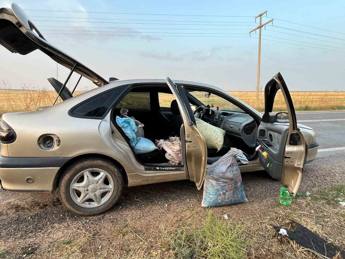 Şanlıurfa'da TİGEM bahçesinden 75 kilo fıstık çaldıkları iddiasıyla 4 kişi yakalandı