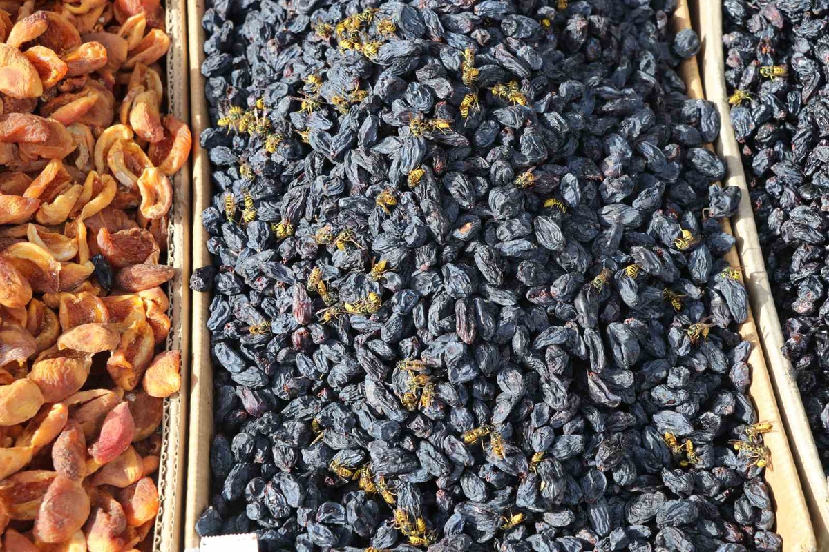 Sivas'ta yaban arıları sonbaharda da görülüyor, hal esnafı satış yapamıyor