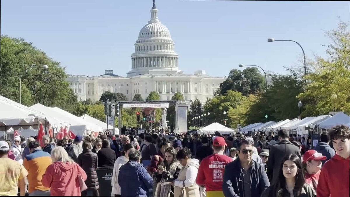 Washington'daki Türk Festivali'ne on binlerce kişi ve Azerbaycanlılar ilgi gösterdi