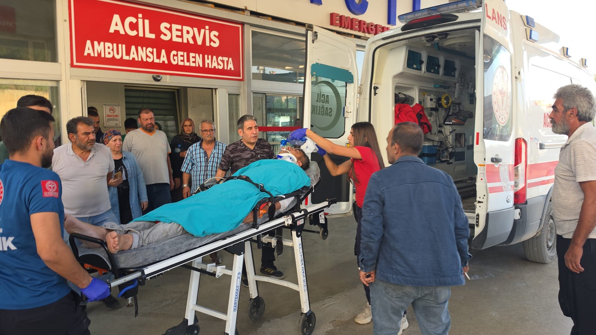 Adana Kozan'da emekli uzman çavuş Yusuf Özdoğan kestiği ağacın altında ağır yaralandı