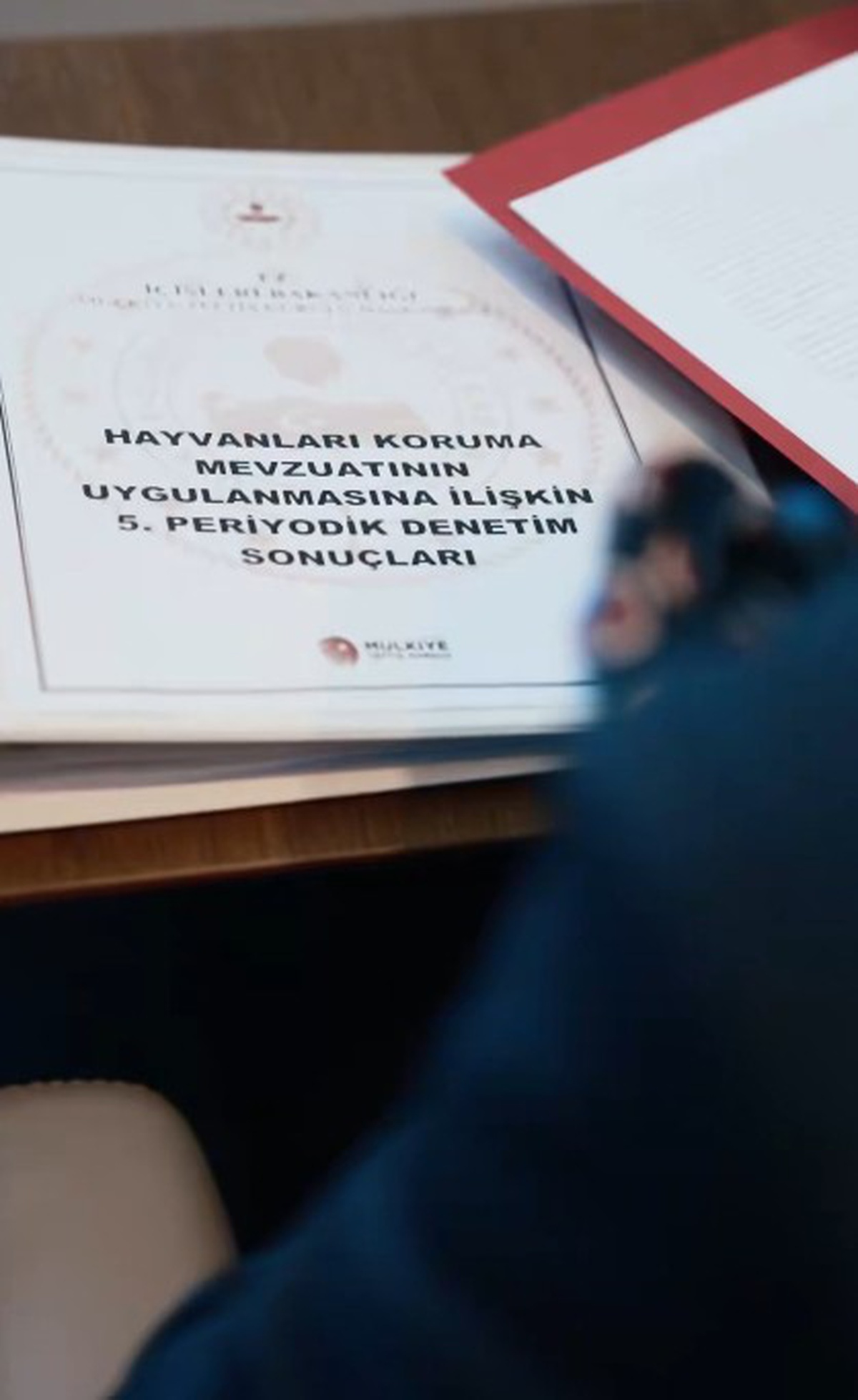 Bakan Çiftçi, sahipsiz hayvanlar için Yumaklı ile çalışmaları değerlendirdi
