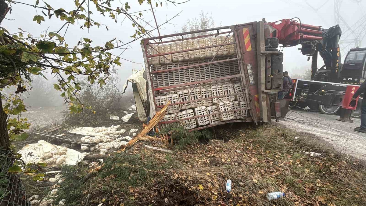 Bolu-Seben yolunda canlı tavuk yüklü kamyon devrildi, 4 kişi yaralandı