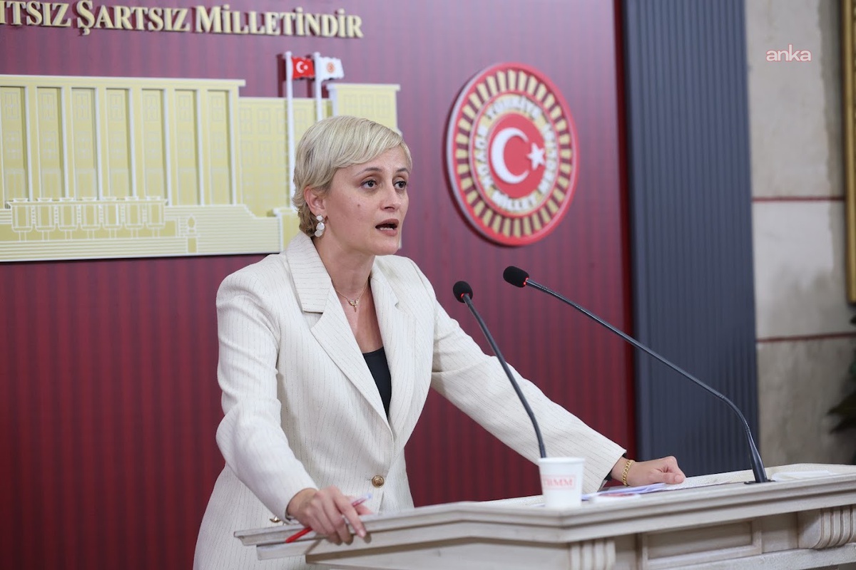 DEM'li Koca, 125 kişinin öldüğü İskenderun Devlet Hastanesi için soru önergesi verdi