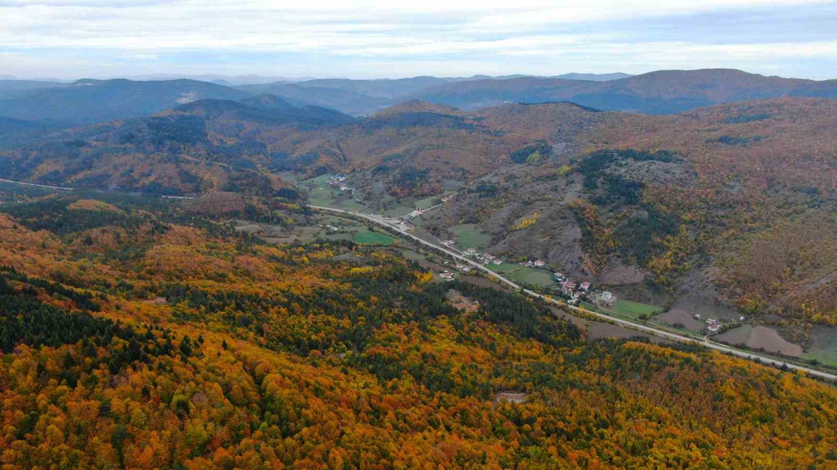 Kastamonu ve Bartın'ı bağlayan Küre Dağları sonbaharda renk cümbüşüne büründü
