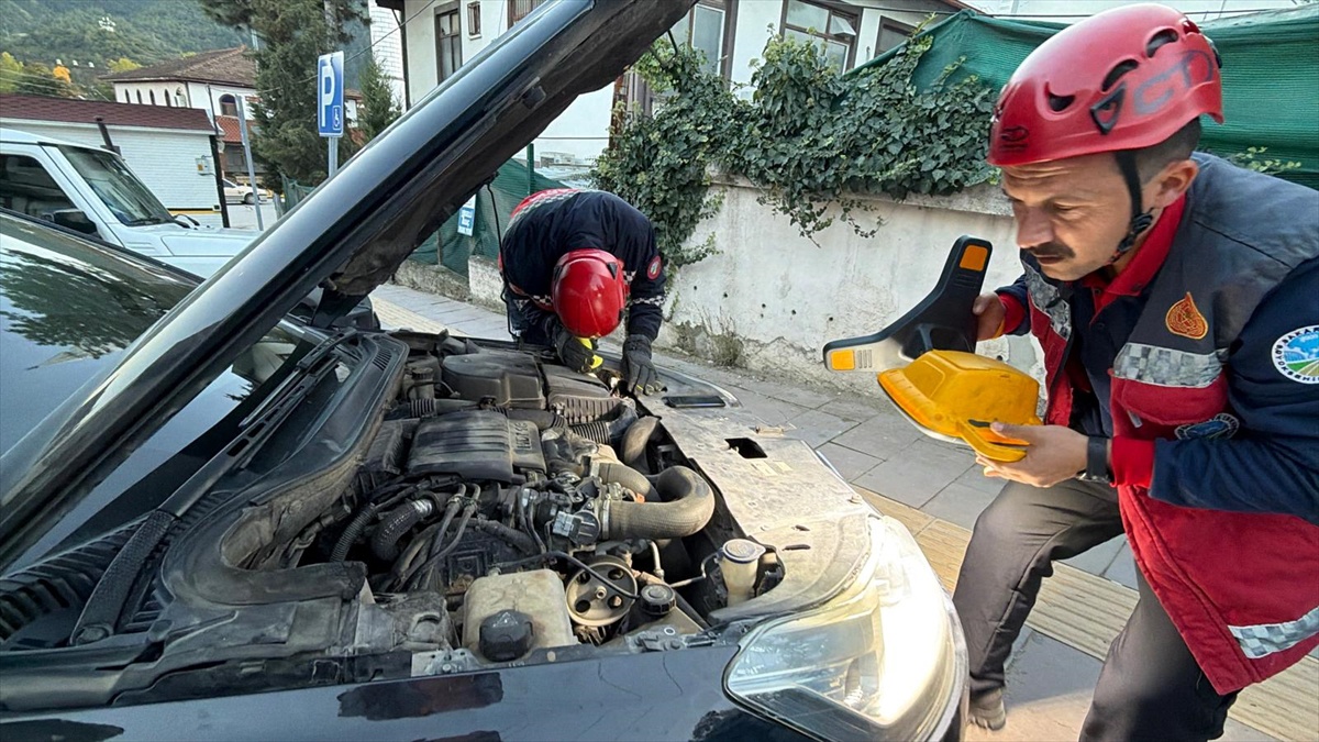 Sakarya Taraklı'da motor bölümüne sıkışan yavru kedi itfaiye ekibince kurtarıldı