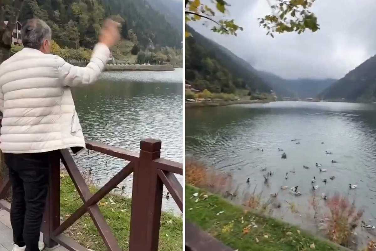 Şenol Güneş ördekleri besledi, yorumu yine kendine has oldu