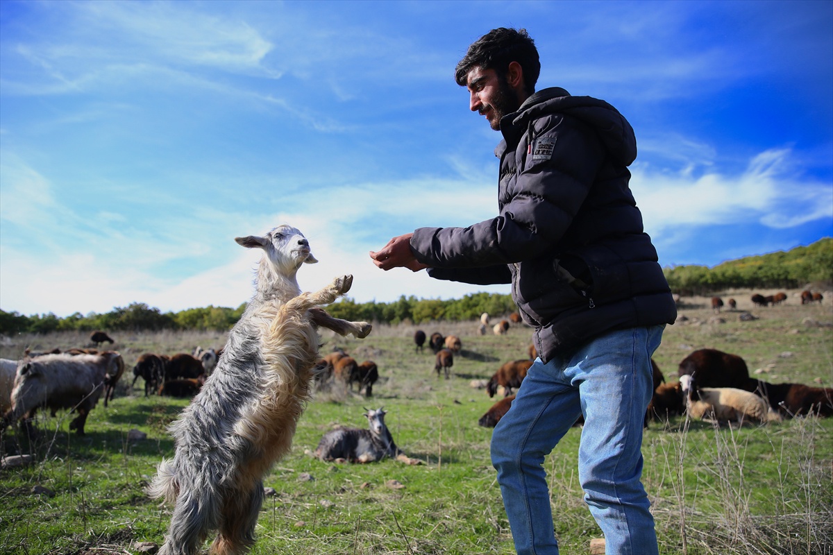 Bingöl yaylalarından ayrılan göçerler, 1000 hayvanla Ergani'ye doğru yola çıktı