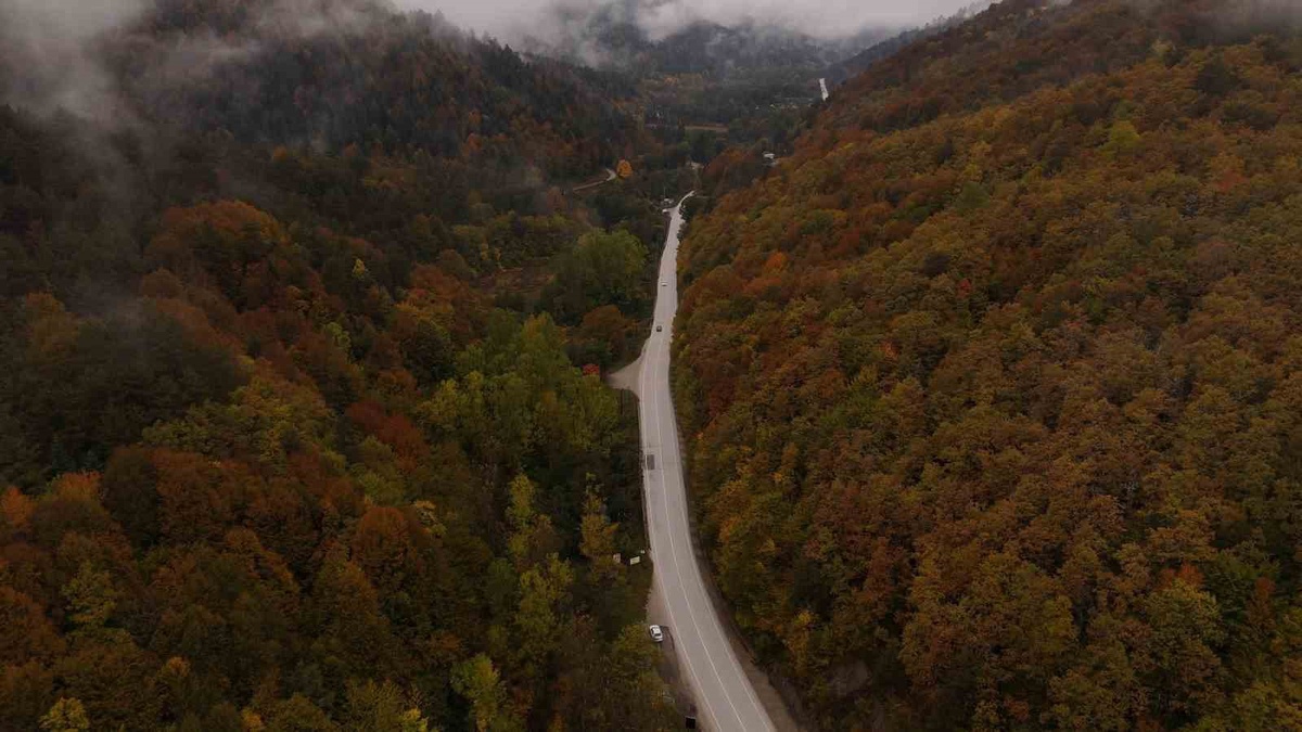 Bolu'da Abant Gölü Milli Parkı yolundaki sonbahar renkleri dronla görüntülendi