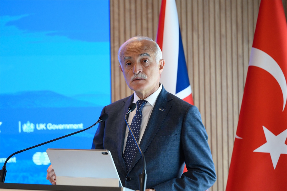 DEİK Başkanı Olpak yeşil yatırımlarda yeni işbirliği modelleri gerektiğini söyledi