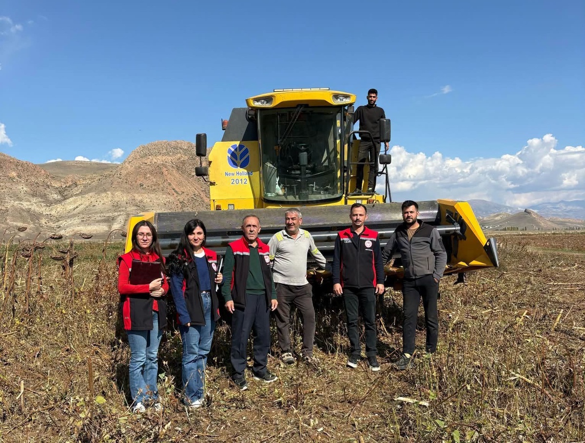 Erzincan Çayırlı'da ayçiçeği hasadında biçerdöver denetimi sürüyor