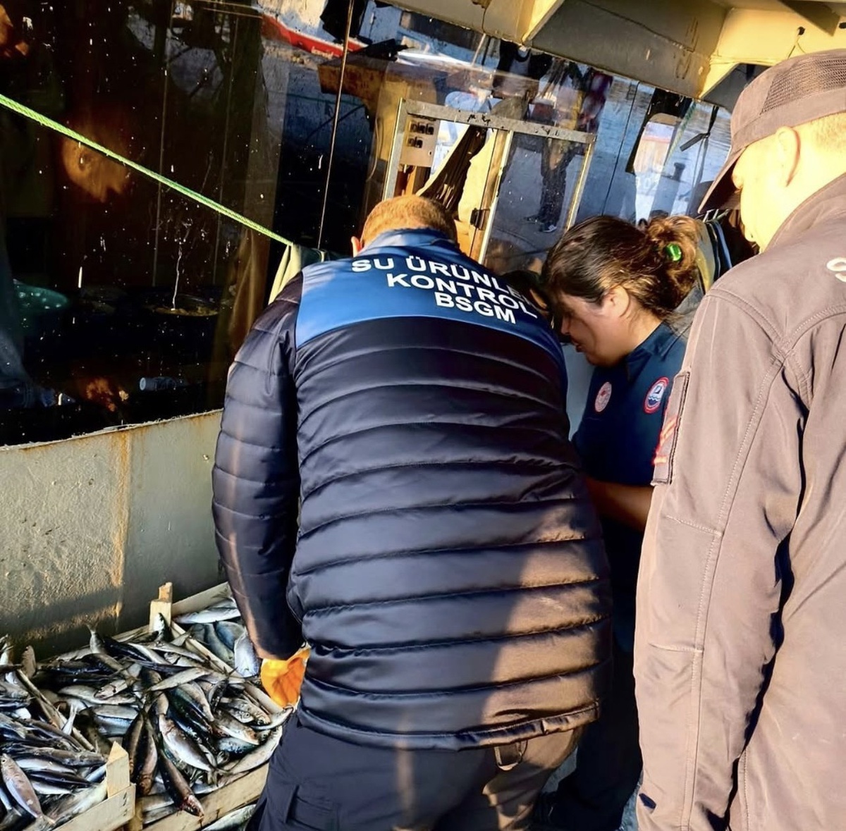 Mersin'de yasa dışı avcılığa karşı denetimler balıkçı barınaklarında sürüyor