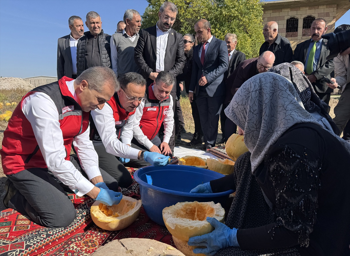 Nevşehir'de kabak çekirdeği hasadı yapıldı, 47 bin tonla Türkiye'de birinci olundu