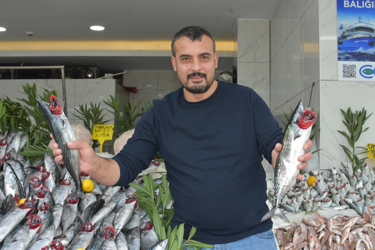 Samsun'da balıkçı Recep Erdoğan palamut bolluğunun en az 1 ay daha süreceğini söyledi