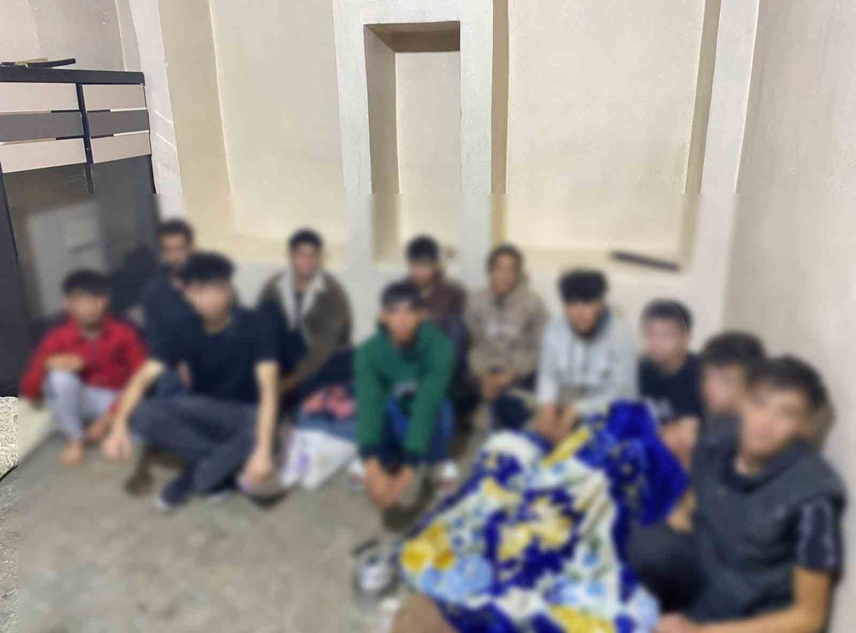 Şanlıurfa'da jandarma operasyonunda 61 düzensiz göçmen yakalandı