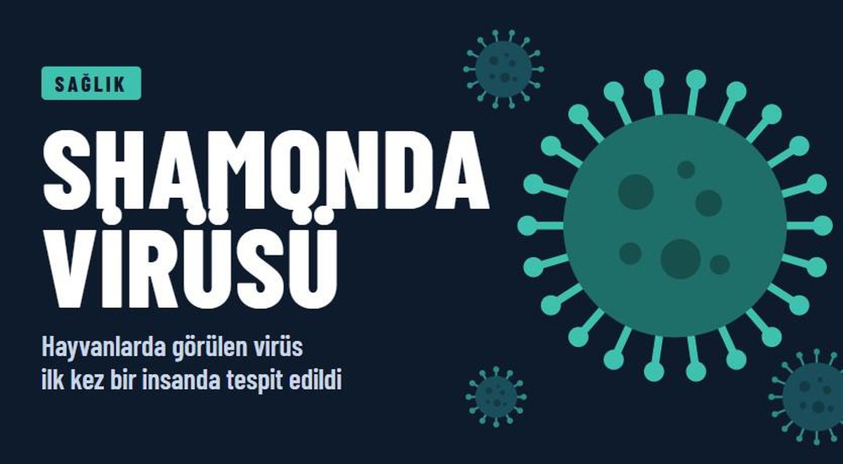 Shamonda virüsü ölümcül mü, nasıl bulaşır, tedavisi var mı? Türkiye’de durum ne?
