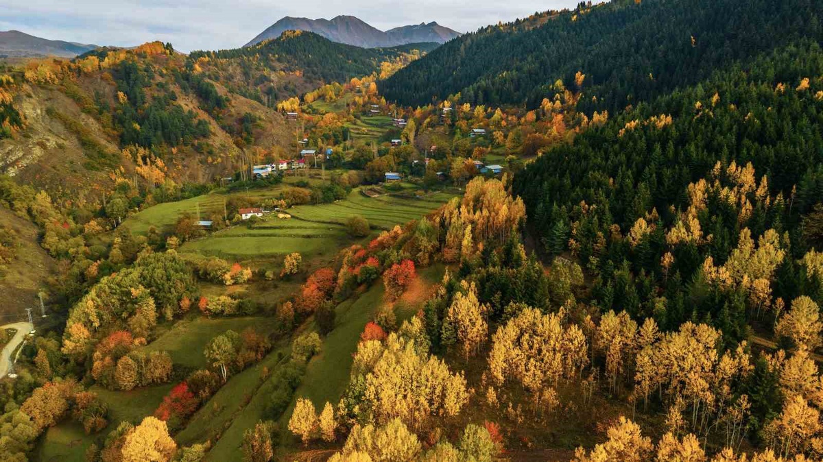 Artvin'de sonbahar renkleri 2500 rakımlı Sahara Geçidi'nde görsel şölen sundu