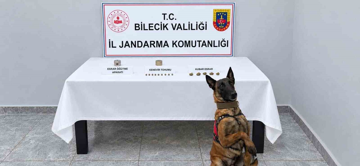 Bilecik Pazaryeri'nde jandarma narkotik köpekle 65 gram esrar buldu