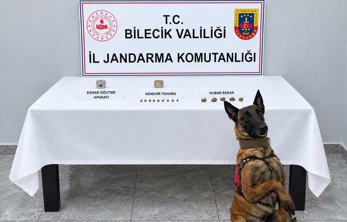 Bilecik Pazaryeri'nde uyuşturucu operasyonunda şüpheli gözaltına alındı