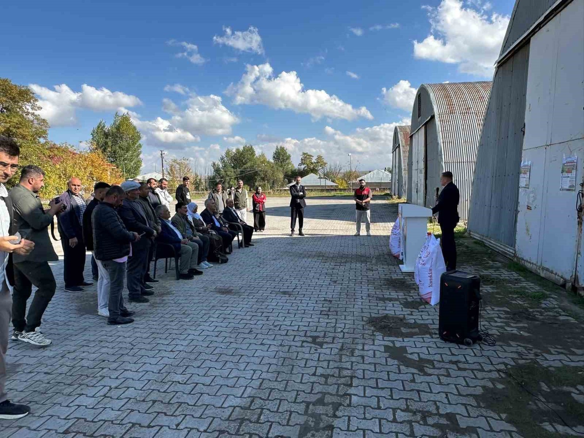 Bulanık’ta 50 üreticiye 30 ton kırmızı mercimek tohumu dağıtıldı