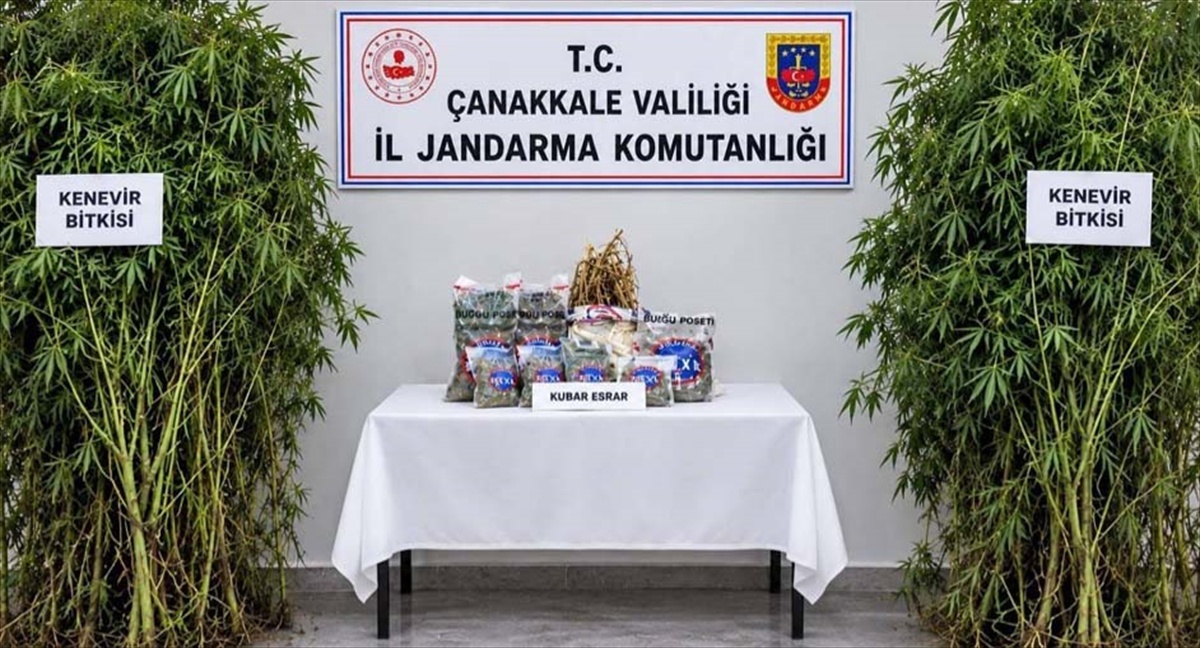 Çanakkale'de jandarmanın uyuşturucu operasyonlarında 2 şüpheliden 1'i tutuklandı