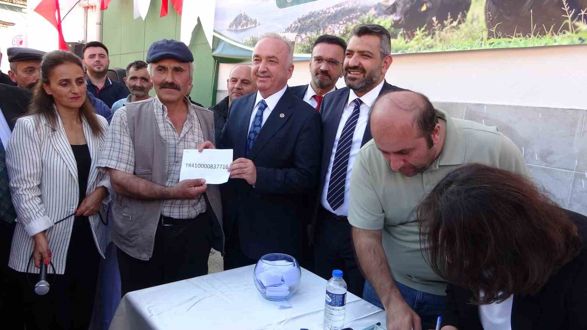 Giresun'da düzenlenen törenle 25 yetiştiriciye damızlık manda boğası dağıtıldı