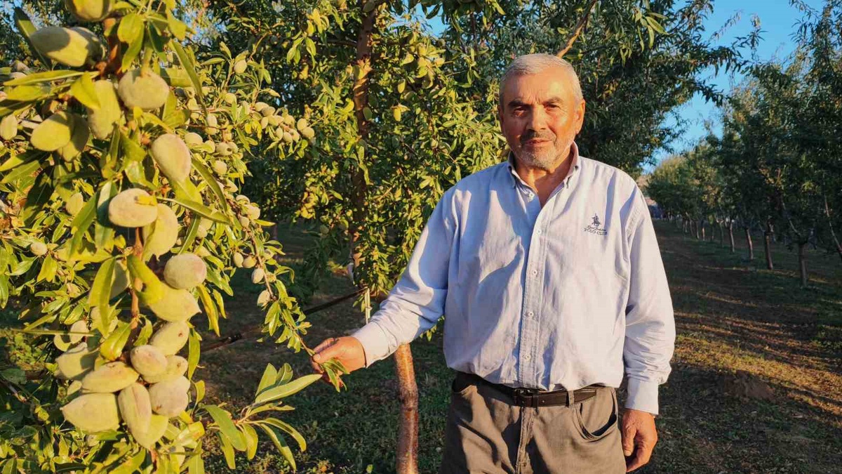Doktorun bahçe işleri önerisiyle Yozgat’a dönen 71 yaşındaki Hasan Sidal üretici oldu