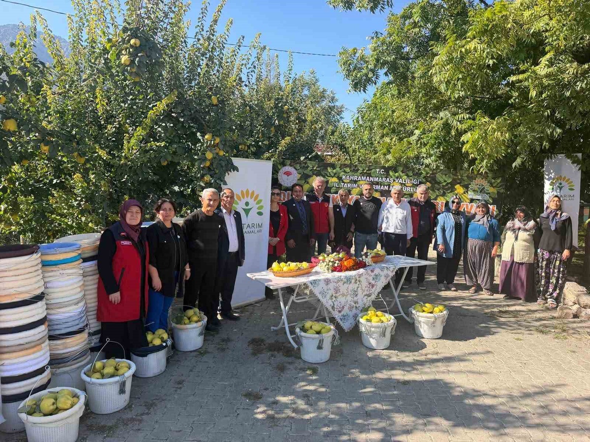 Kahramanmaraş Onikişubat'ta 11 ayva üreticisine 260 hasat sepeti ve çengeli dağıtıldı