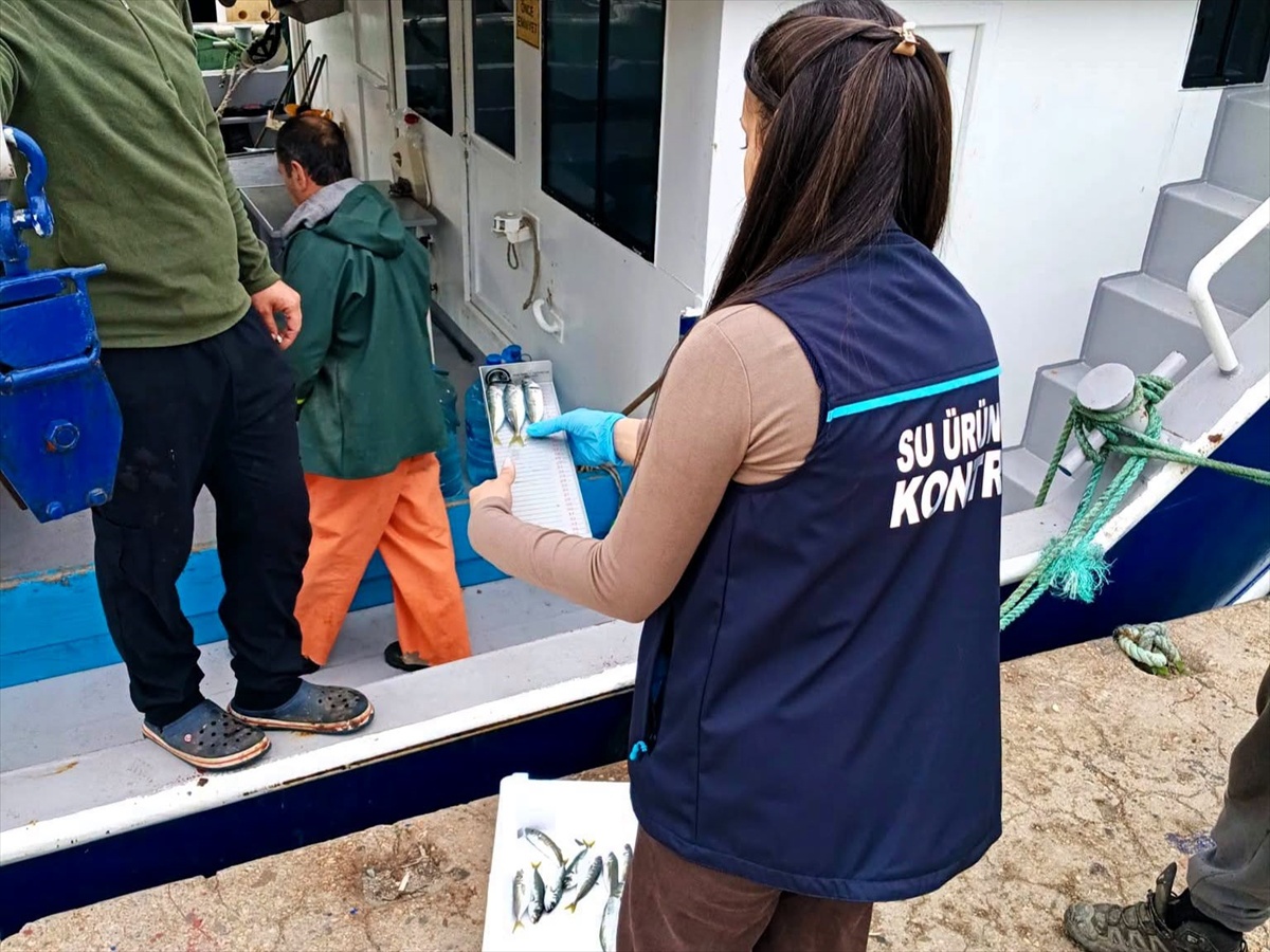 Kırklareli Tarım ve Orman Müdürlüğü, İğneada'da balıkçı teknelerini denetledi