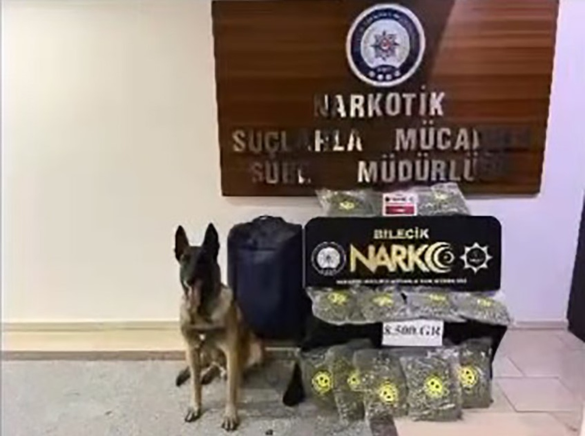Bilecik'te bagajdaki valizde 8,5 kilo skunk ele geçirildi, 2 şüpheli tutuklandı