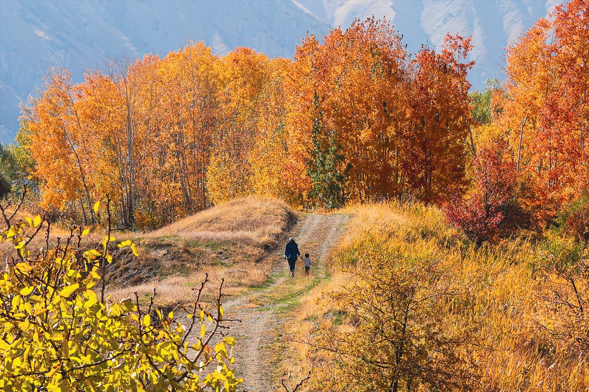 Hakkari Konak köyünde sonbahar renkleri 25 doğasevere görsel şölen sundu