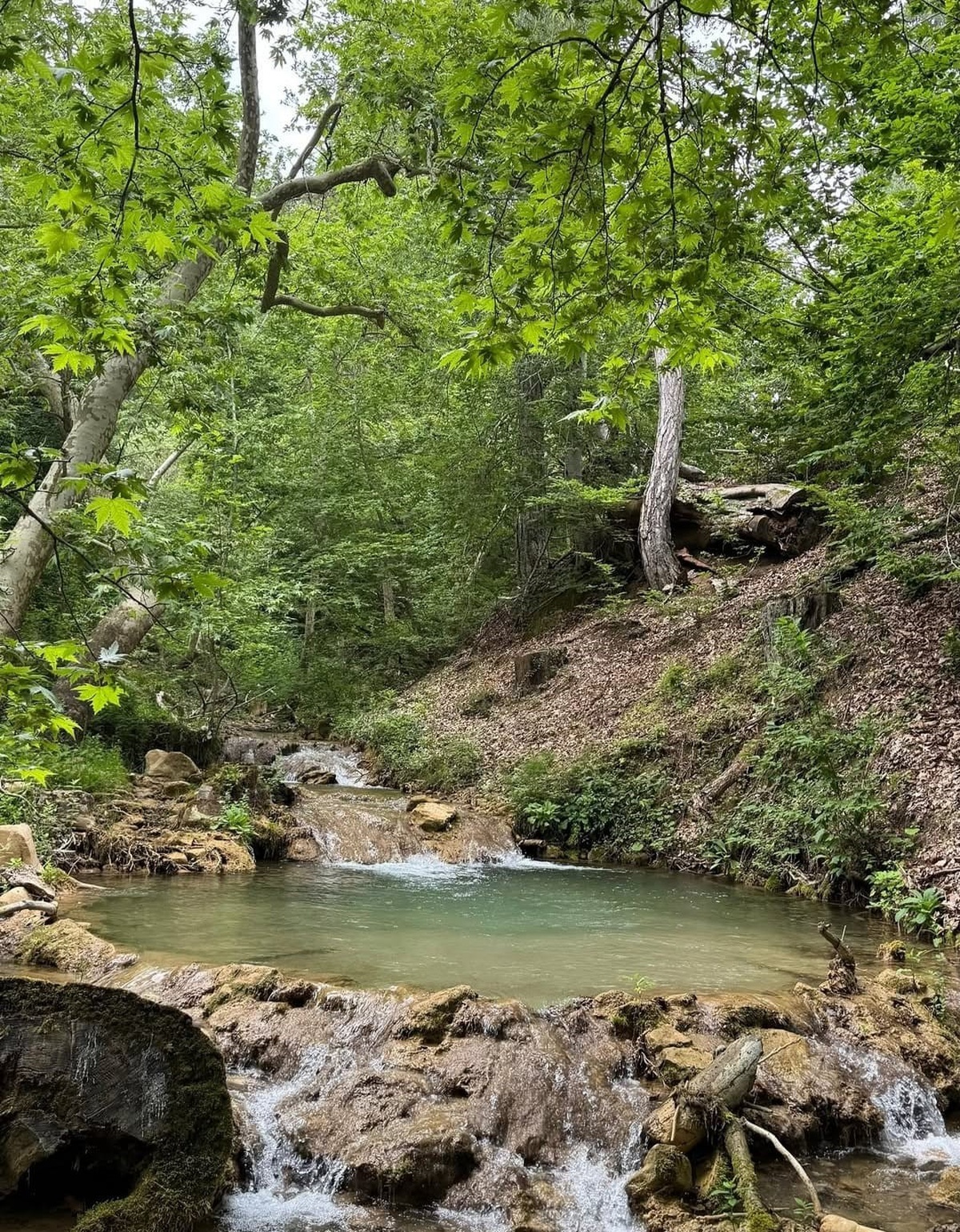 Kahramanmaraş Andırın'da Fındıklı Dere ve Hastane Pınarı doğa tutkunlarını bekliyor