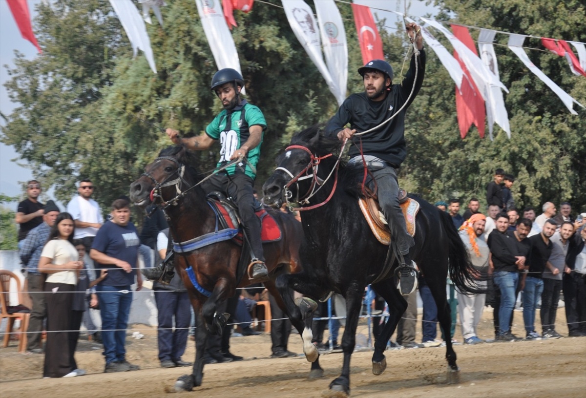 Ödemiş'te 40. Geleneksel Çaylı Rahvan At Yarışları 12 kategoride yapıldı